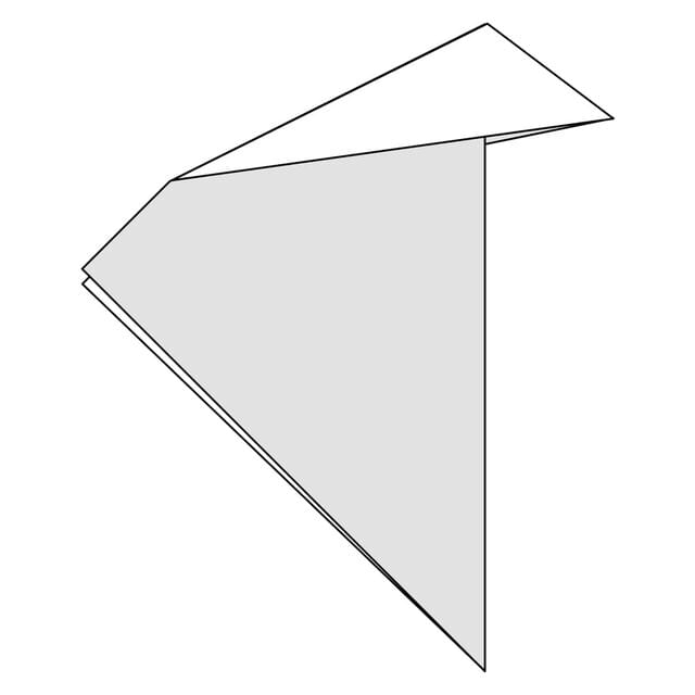 Outside Reverse Fold
