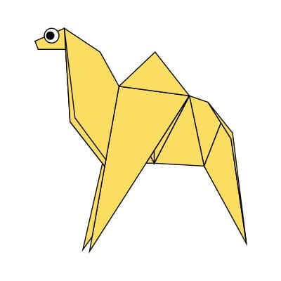 Camel