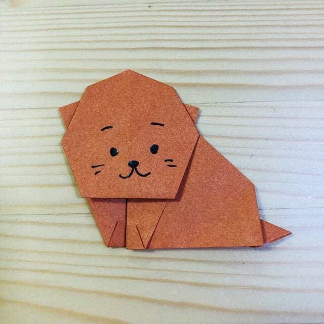 Cat (Complete Tutorial)