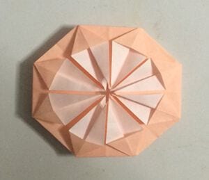 How to Fold an Origami Hibiscus