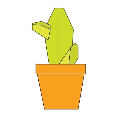 Origami Cactus