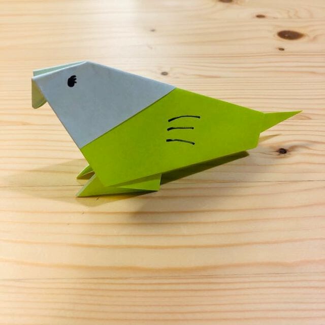 Parakeet