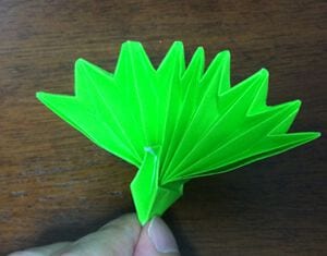 Origami Peacock