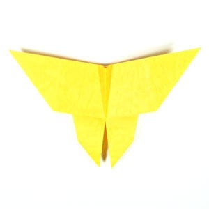 How to Fold a Traditional Origami Butterfly