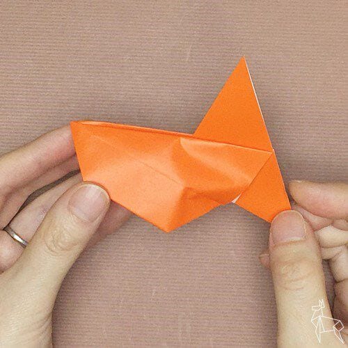 Balloon goldfish