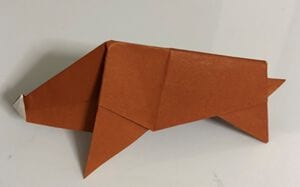 Wild Boar